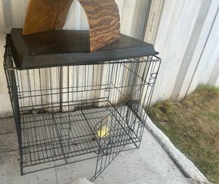 Kandang besar Rp 200.000