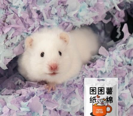 Koko Kiss Paper Bedding Kokokiss Hamster Bedding KENCH0315