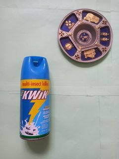 Kwik Multi-Insect Killer Water Based Odorless 300 ml