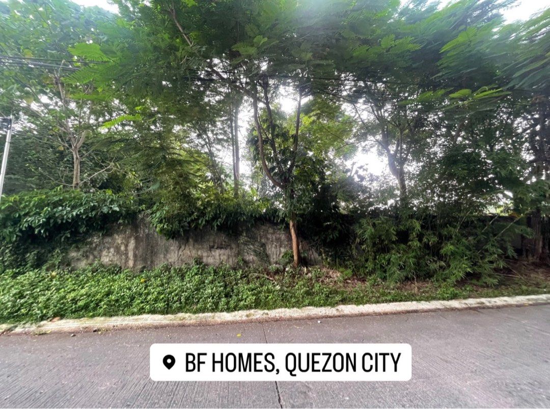 LOT FOR SALE KN BF HOMES SUBDIVISION NEAR DON ANTONIO AND DON ENRIQUE