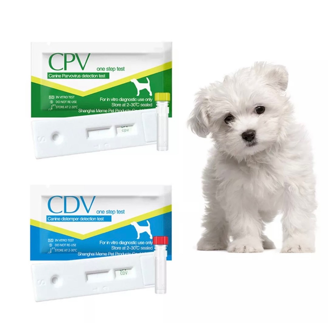 Parvovirus test kit CPV test kit parvo for puppy and dogs , Pet Parvovirus test kit CPV test kit parvo for puppy and dogs , Pet