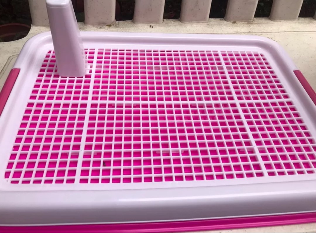 pet-potty-training-pad-inducer-spray-pet-supplies-homes-other-pet