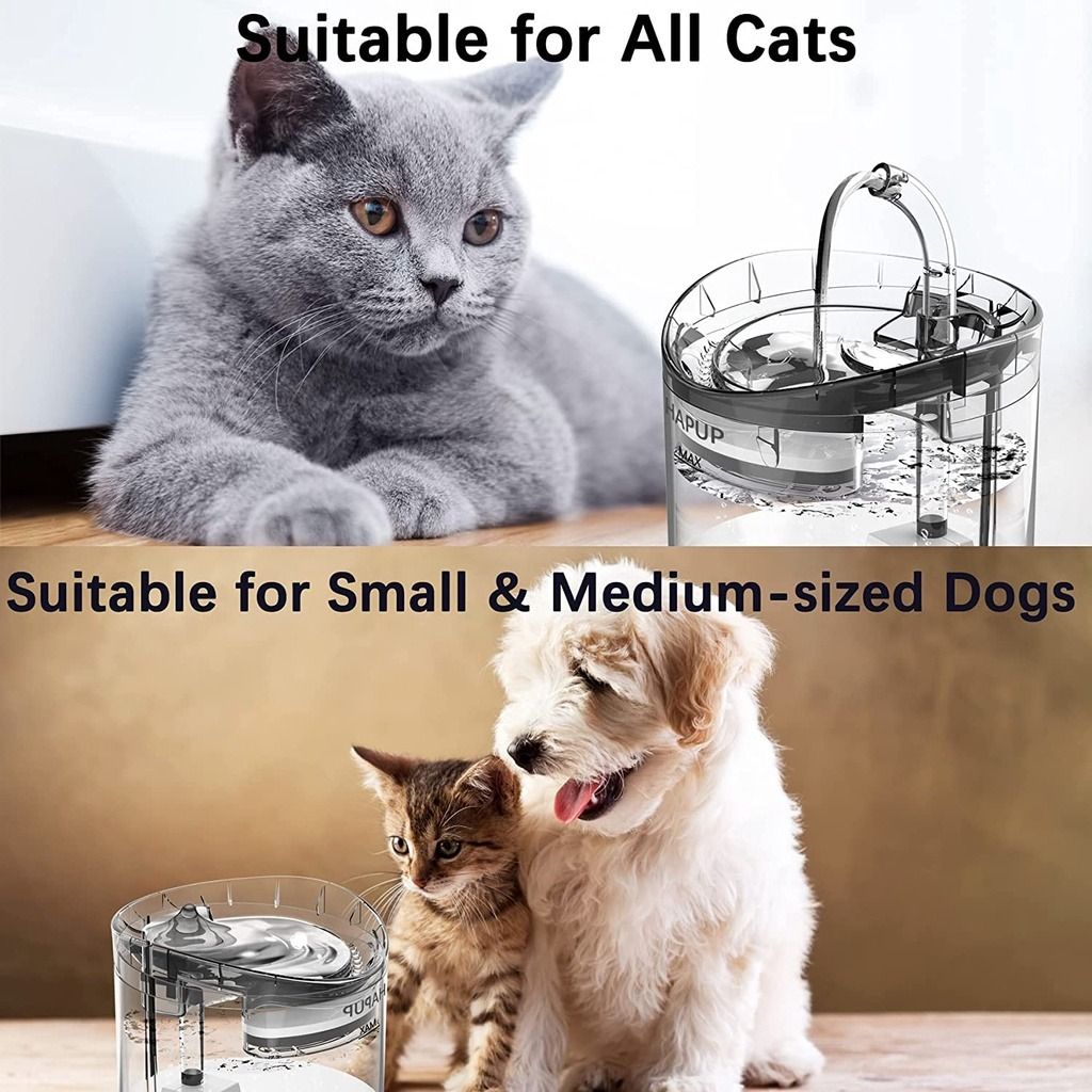 Npet cat dog deals water fountain
