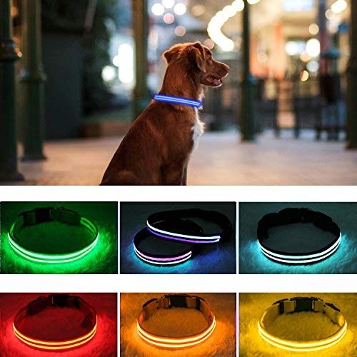 PPWW Light Up Dog Collar LED Dog Collar USB Rechargeable