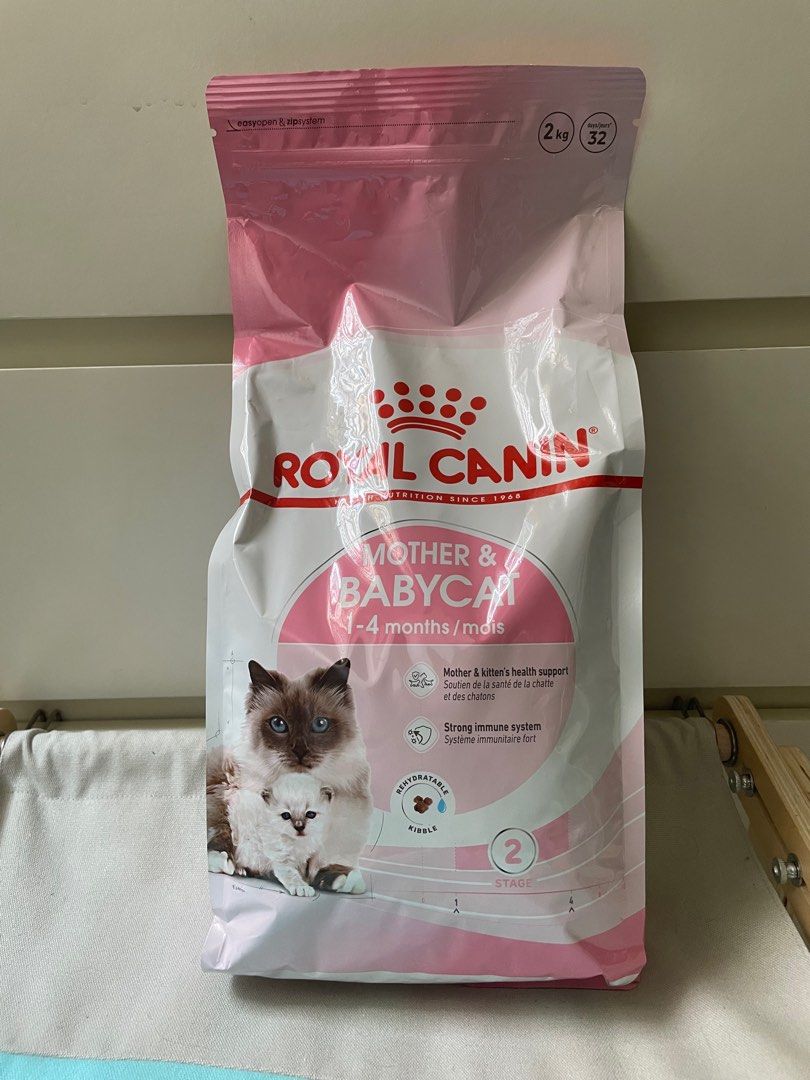 Baby new arrivals cat kibble