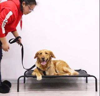 (Category: ) located in . Submitted by thewaggystore (Listing ID 1257031883, Image 1). Description: .