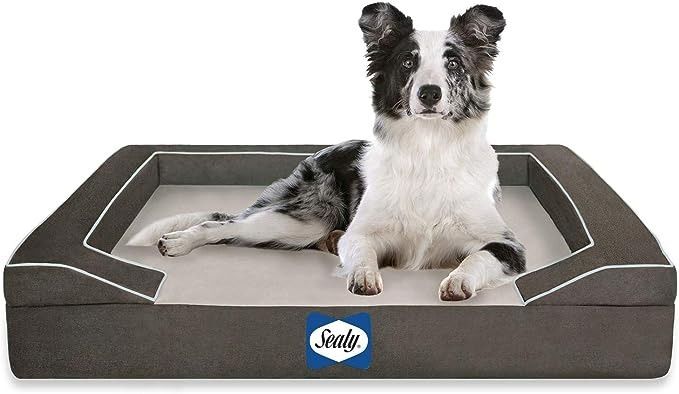 Amazon.co.jp: 【正規品】Sealy(シーリー) ドッグベッド ラックス