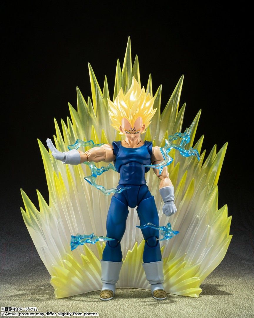 Vegeta shf 2025