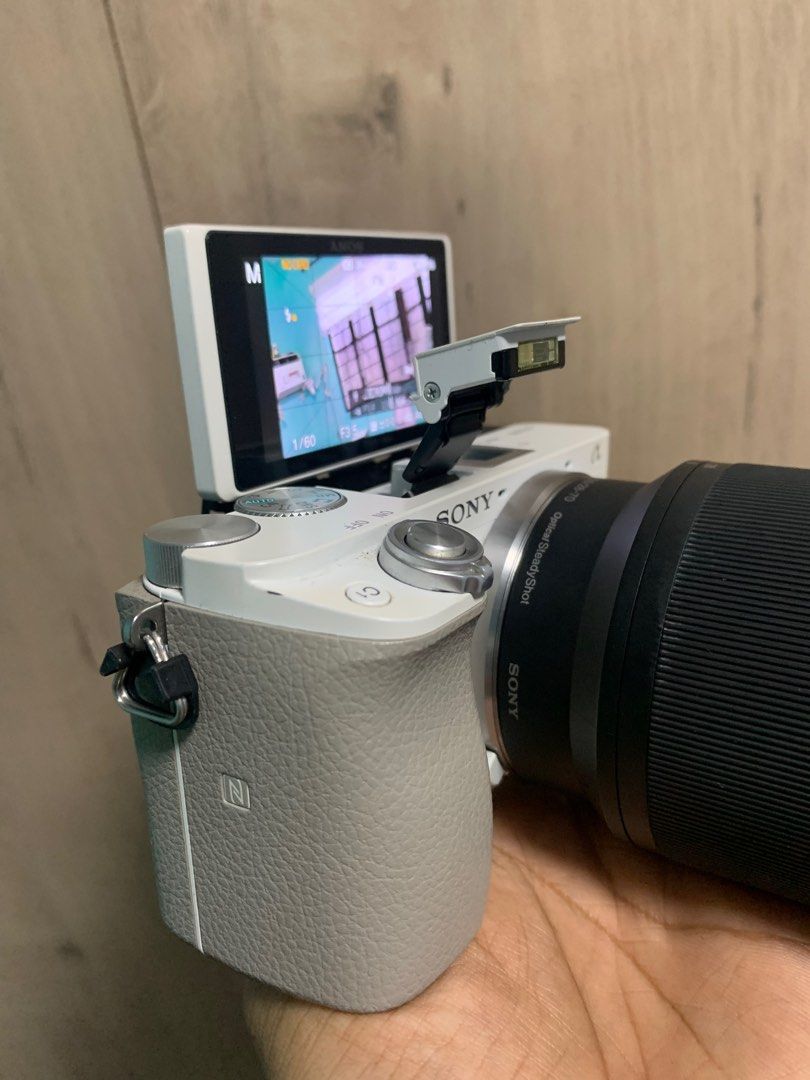 Sony A6100 flipscreen with Sony 2870mm Fullframe Lens (January 2024