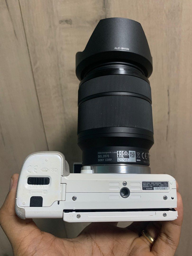 Sony A6100 flipscreen with Sony 2870mm Fullframe Lens (January 2024