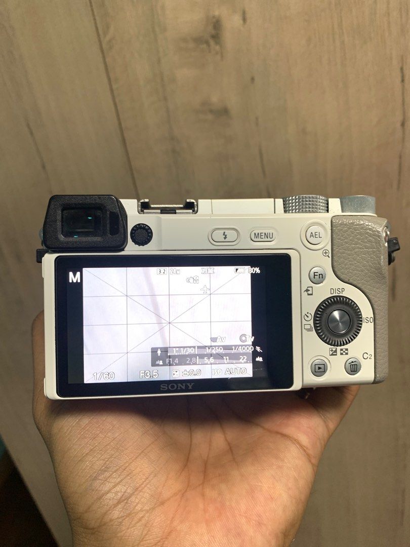 Sony A6100 flipscreen with Sony 2870mm Fullframe Lens (January 2024