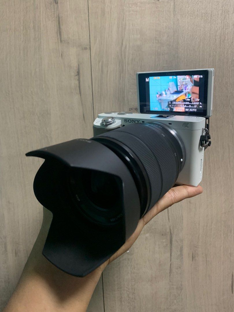 Sony A6100 flipscreen with Sony 2870mm Fullframe Lens (January 2024