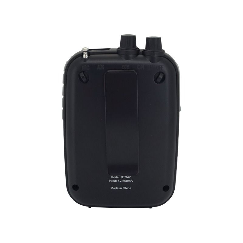 Valore Voice Amplifier with Microphone (BTS47), Audio, Soundbars ...