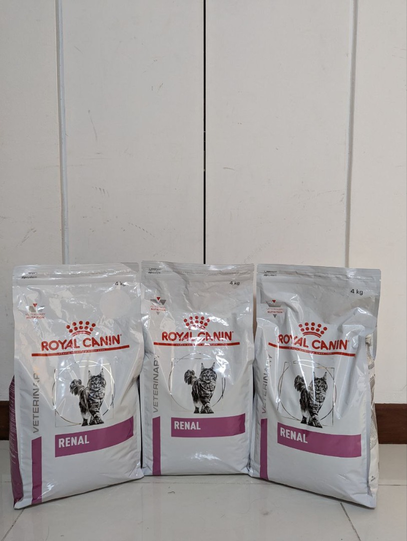 Veterinary Diet Renal 4kg by Royal Canin Dry Kibble for Cat with