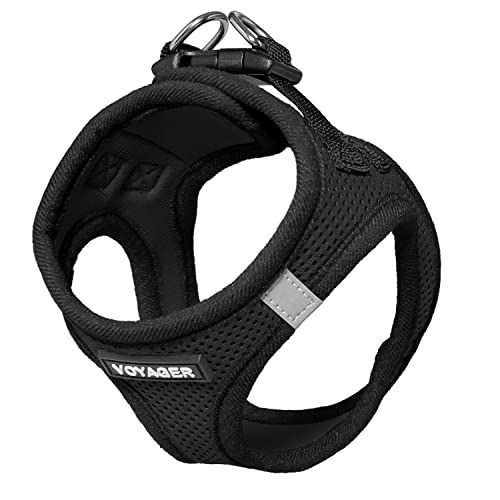 Voyager soft harness discount
