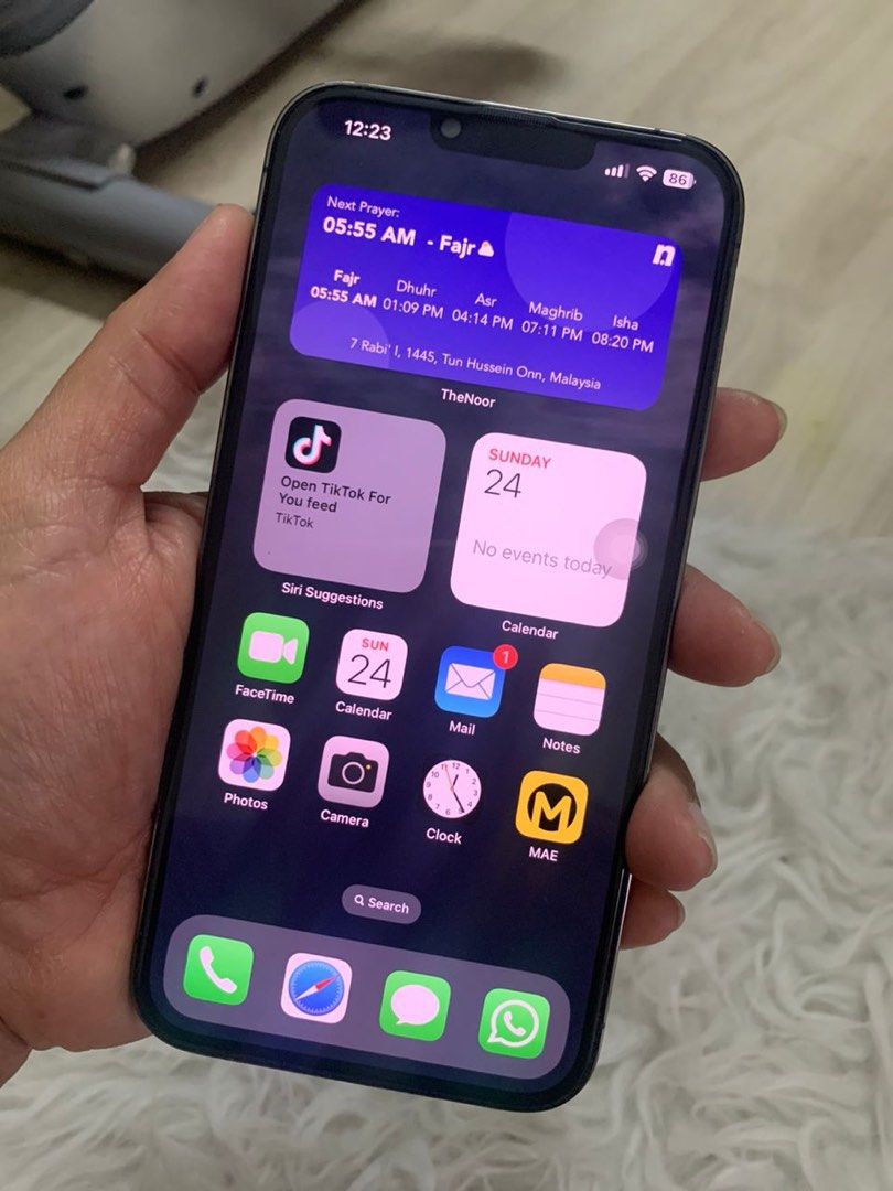 WTS 13 promax 256gb graphite, Mobile Phones & Gadgets, Mobile Phones