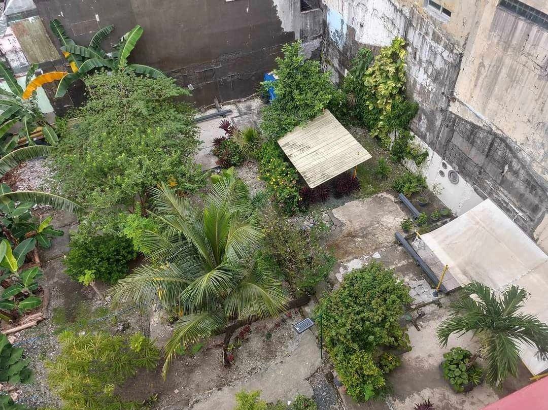 400sqm Vacant Lot For SALE Arellano Street Palanan Makati City