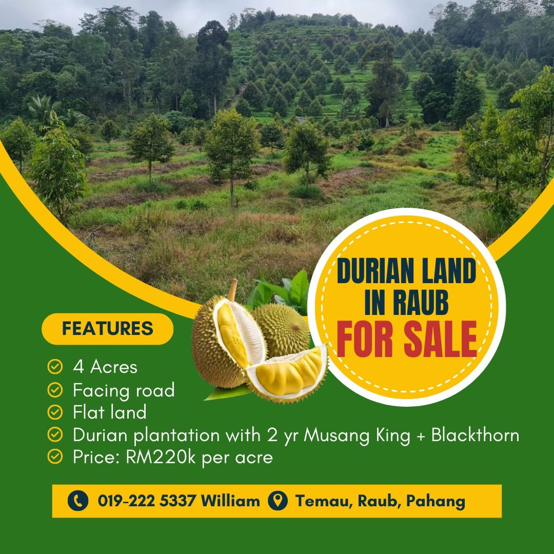 4 Acre Tanah Dusun Durian Musang King & Blackthorn Untuk Di Jual