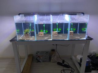 Aquarium Set (Plug & Play)