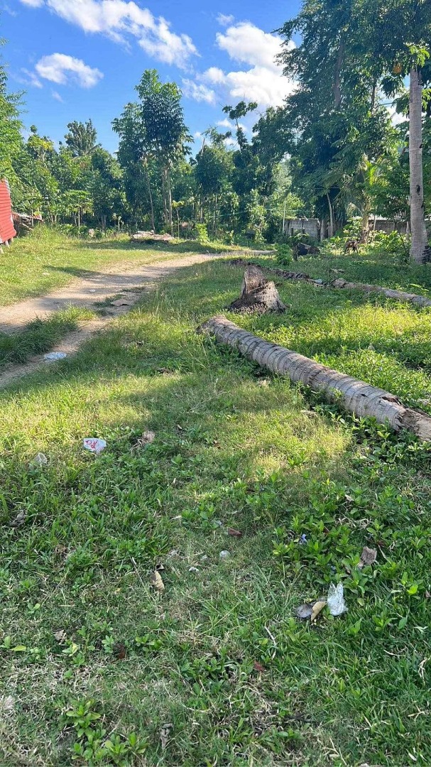 ARGAO CEBU LOT FOR SALE, Property, For Sale, Lot on Carousell