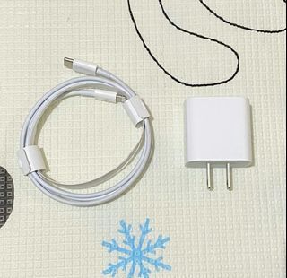 Charger for Iphone or Ipad (Original)
