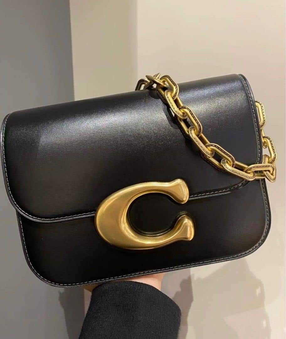 Coach idol bag, Luxury, Bags & Wallets on Carousell