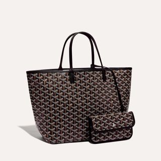 Maison Goyard Saint Louis PM Bag (White/Cream), Luxury, Bags & Wallets on  Carousell