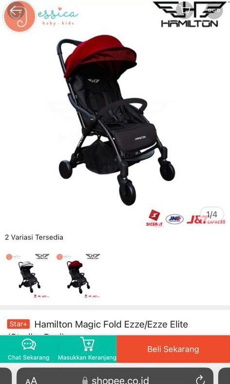 hamilton ezze basic
