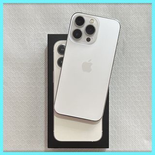 iPhone 13 Pro · 256GB · Silver