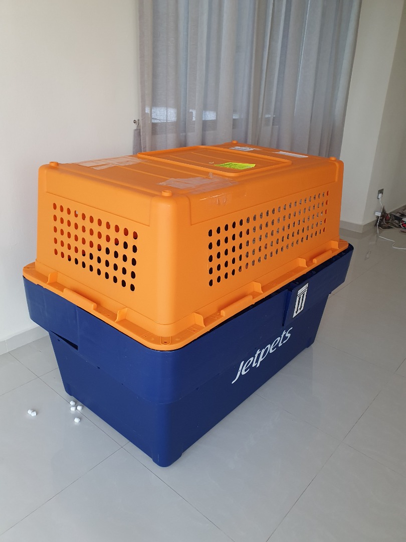 PP100 dog crate for international travel, Pet Supplies, Homes & Other