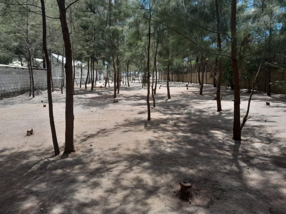 RUSH SALE Beachfront, Pundaquit, San Antonio, Zambales, Property, For