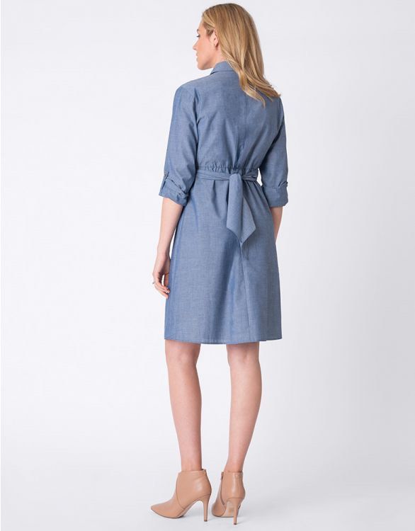 Seraphine chambray sale dress