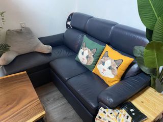 （分類：）位於 。 由 chowchowder 提交（商品編號 1257185340，圖片 1）。簡介： 。