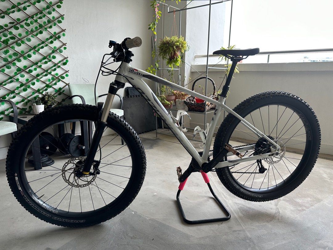 Specialized store fuse fattie