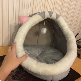 Tempat Tidur Kucing