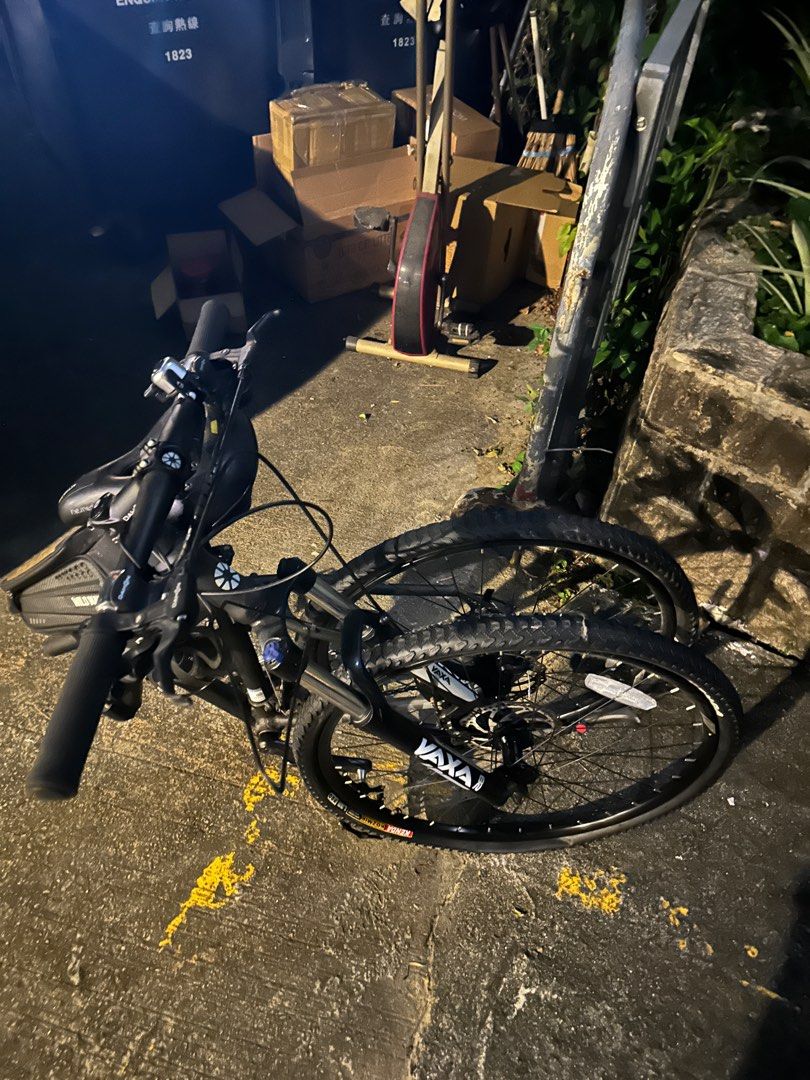 Dahon xaa673 hotsell