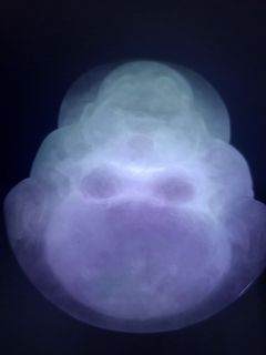 天然翡翠A貨（見光不死紫羅蘭）大佛公