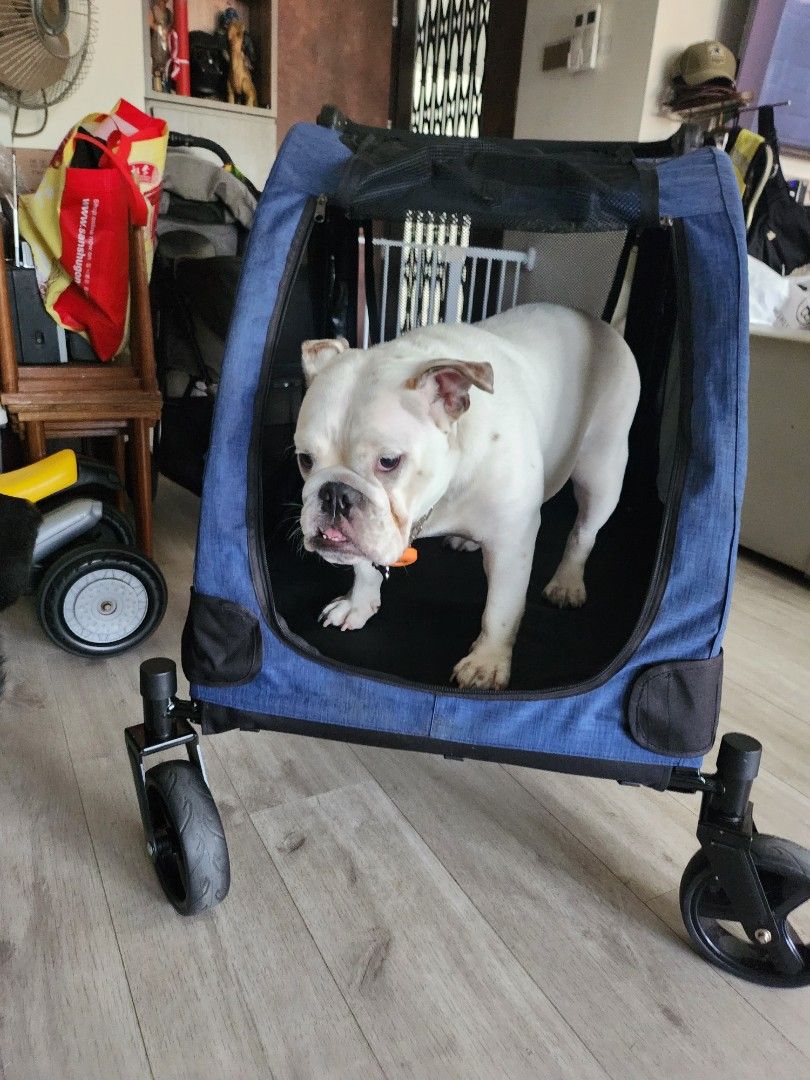 Dog stroller sale for english bulldog