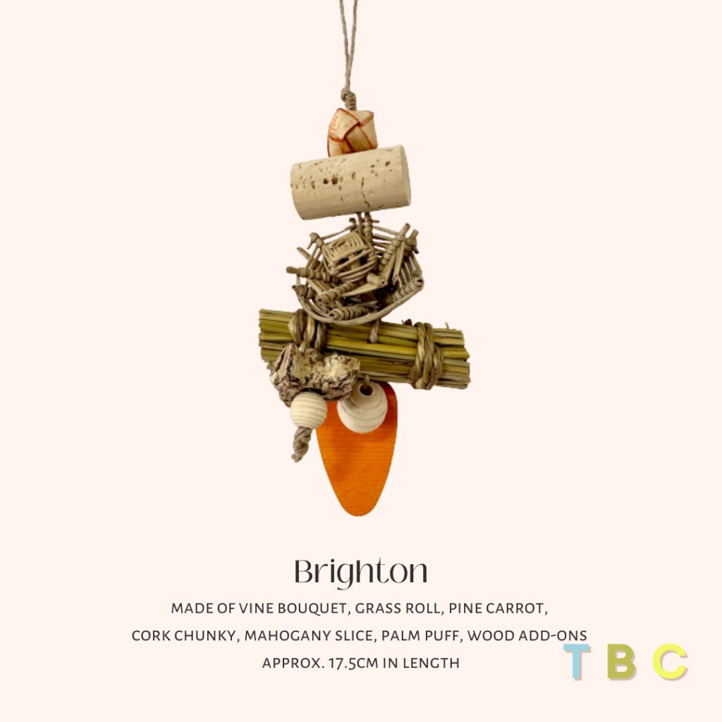 Brighton Hanging Toys for Birds & Small Animals Cage Accessories