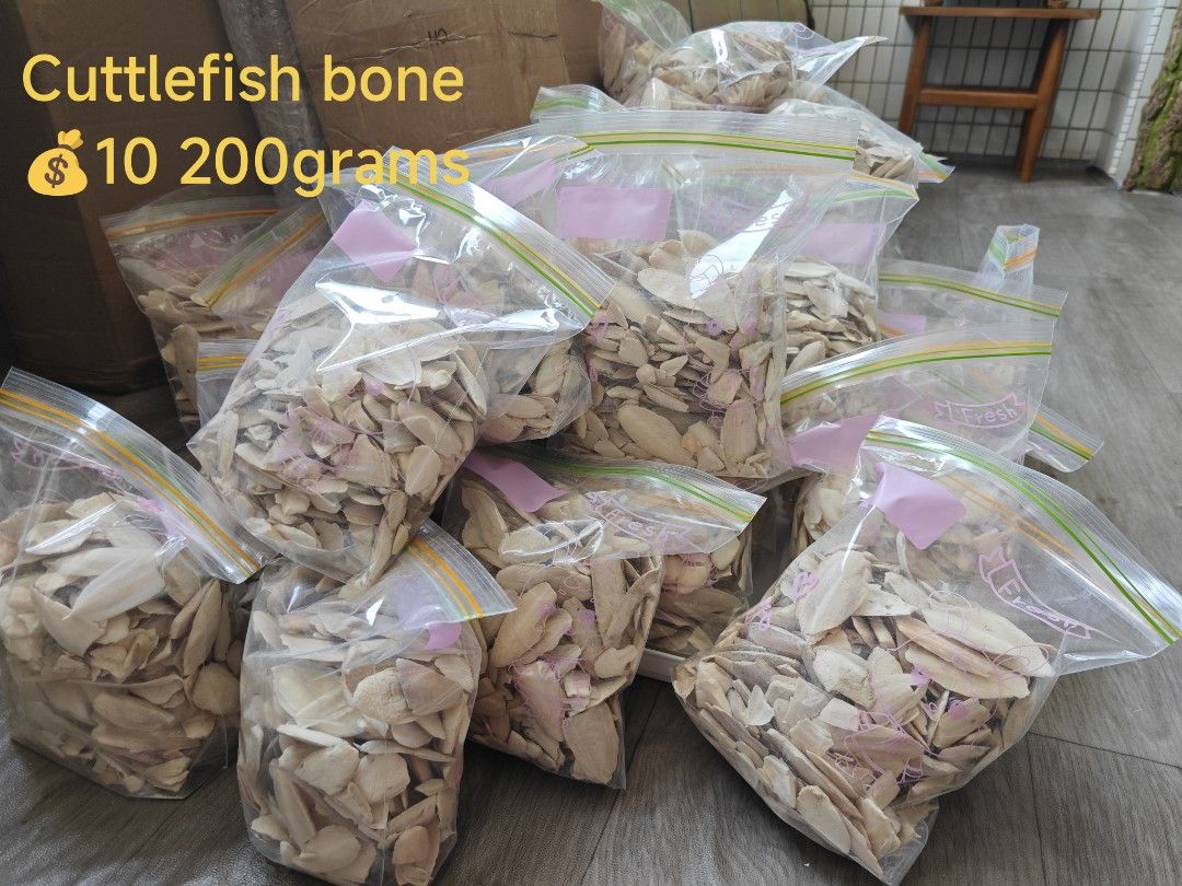 Cuttlefish bone (Category: Pet Food) located in Singapore. Submitted by birdheaven (Listing ID 1257478538, Image 1). Description: Cuttlebone, or Cuttlefish bone, is used as a natural calcium supplement for Birds, Reptiles, and Isopod culture. The bone is actually part of an internal shell structure found in Cuttlefish. Using Cuttlebone will give you a slow release form of calcium for you animal. 200grams 💰10.