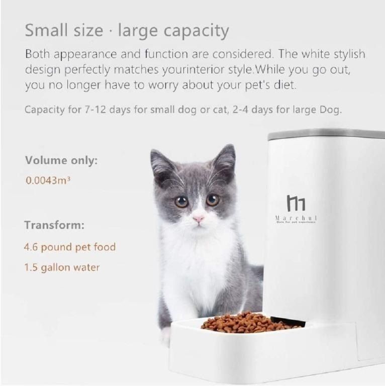 Self dispensing cat food deals