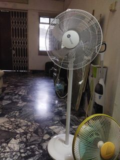 Fans