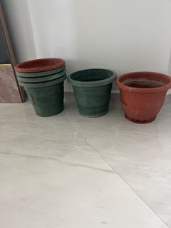 Flower , Plant pots