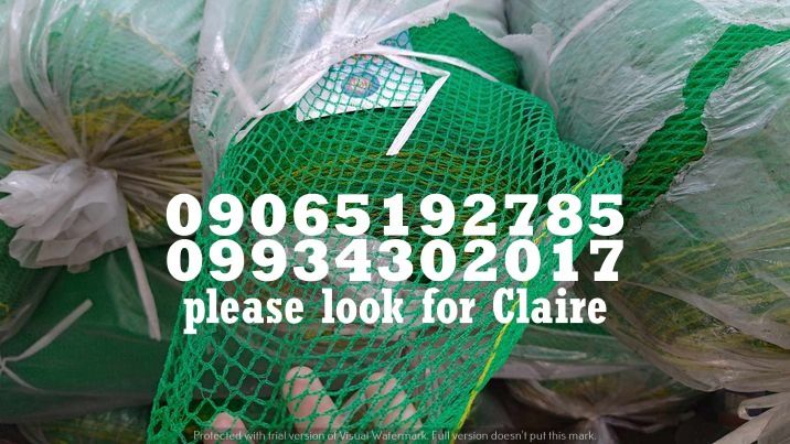 Green Safety Net (Category: Construction Tools & Equipment) located in Makati City. Submitted by claire_joy (Listing ID 1257361686, Image 2). Description: ‼️For more Details please look for Claire‼️ CONTACT DETAILS: 📌 0-9-9-3-4-3-0-2-0-1-7 📌0-9-0-6-5-1-9-2-7-8-5 🧭LOCATION: 📍Manila Mayhaligue St. Abad Santos Manila 📍Cavite Centennial Rd Kawit Cavite note: price may change without prior notice..