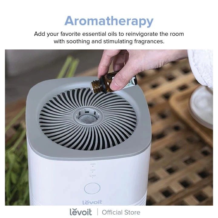 Levoit - LV-H128 Desktop True HEPA Air Purifier, TV & Home Appliances, Air  Purifiers & Dehumidifiers on Carousell