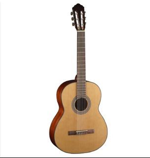 looking for a guitar