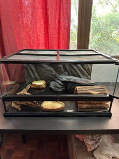 (Category: ) located in . Submitted by sleow10 (Listing ID 1257400695, Image 1). Description: .