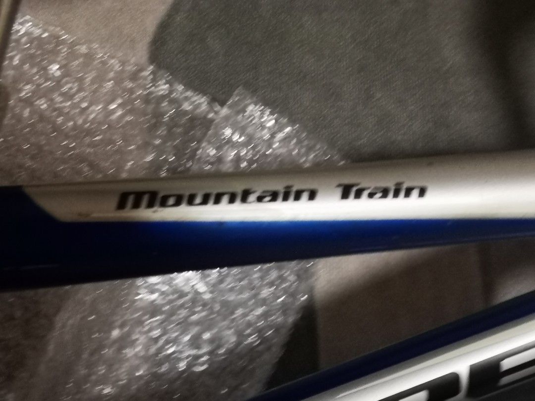 Trek mountain train outlet hitch