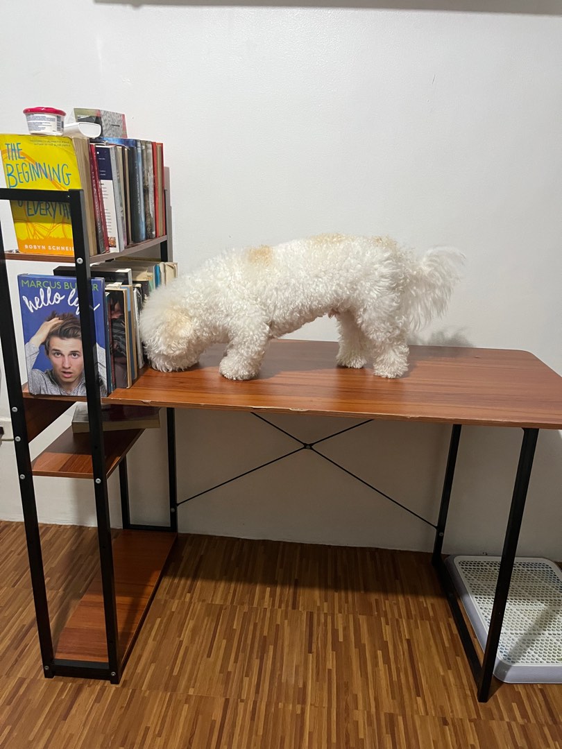 Work Pc Table Metal Work/Computer Table w shelves, Furniture & Home Living, Office ...