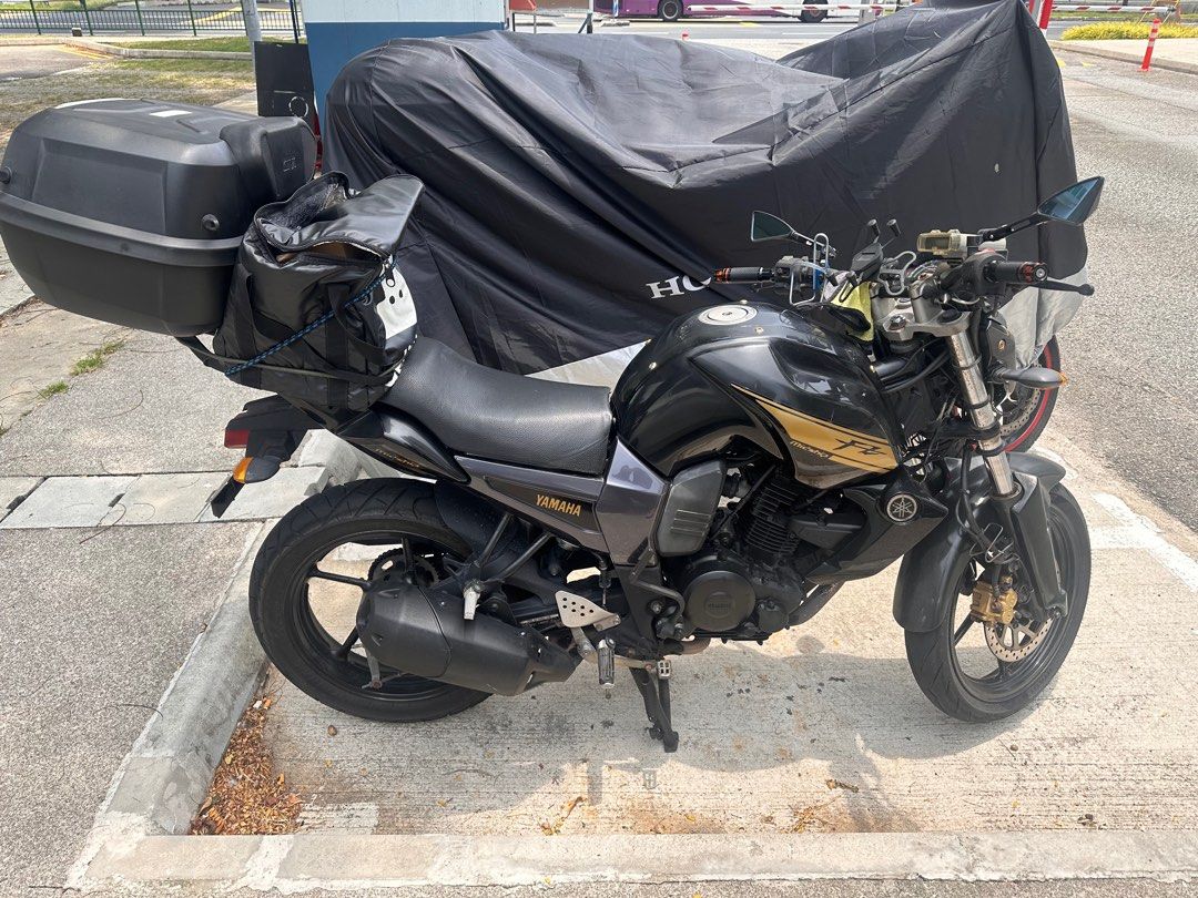 Yamaha fz16 discount luggage rack